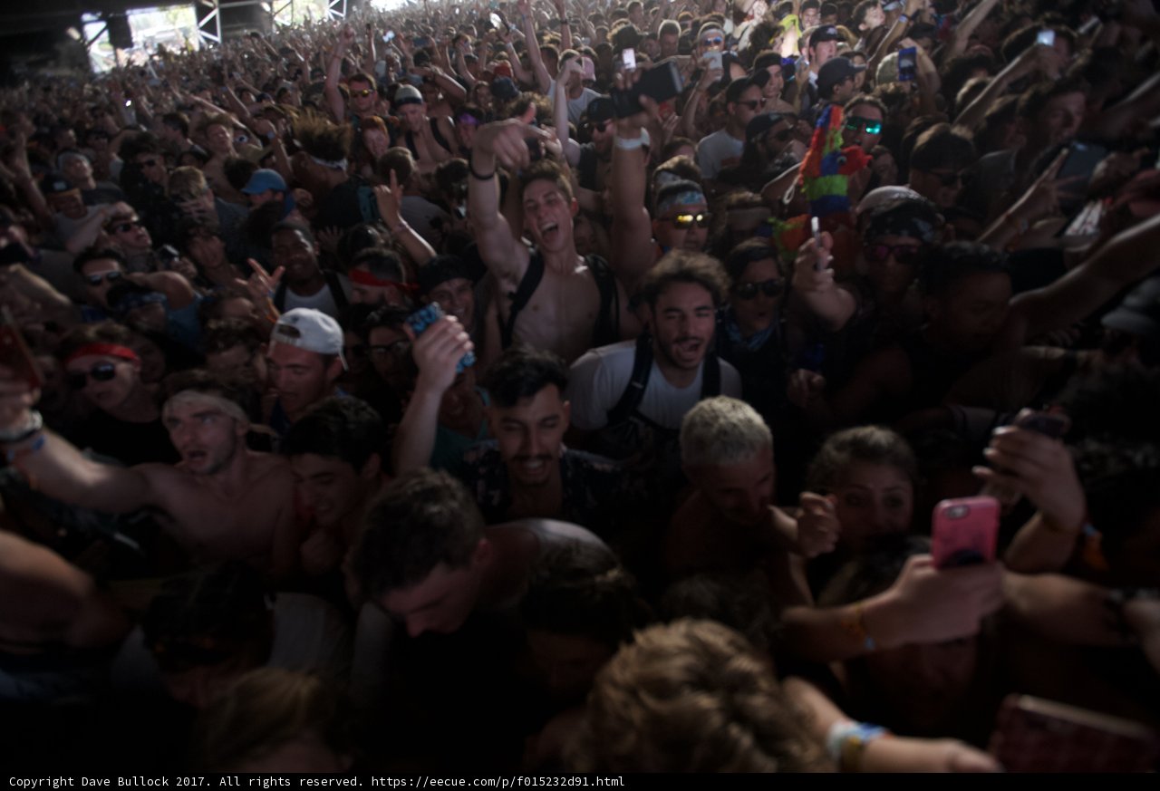 Coachella 2017 Crowd