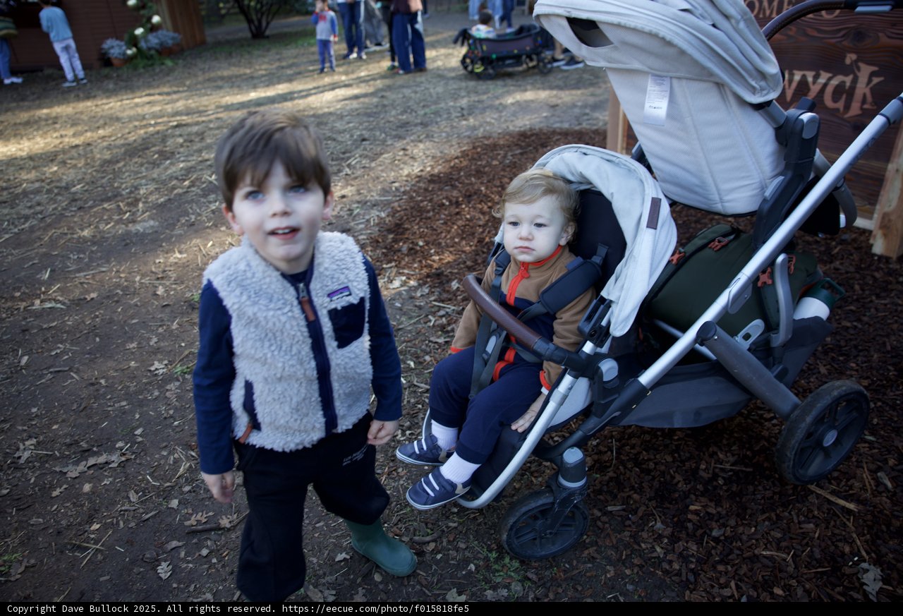 Autumn Stroll at Thistlewyck