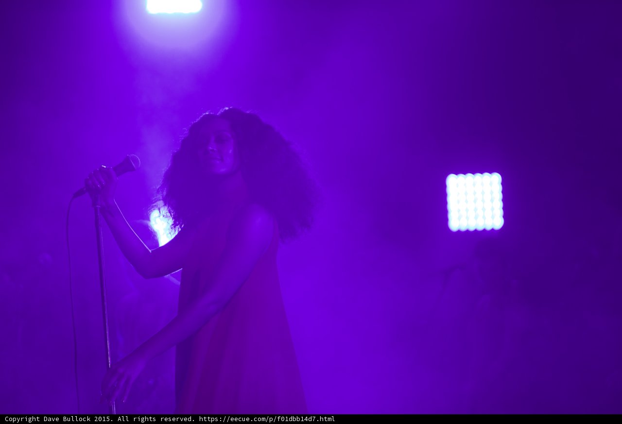 Florence Welch Purple Light Microphone Stand