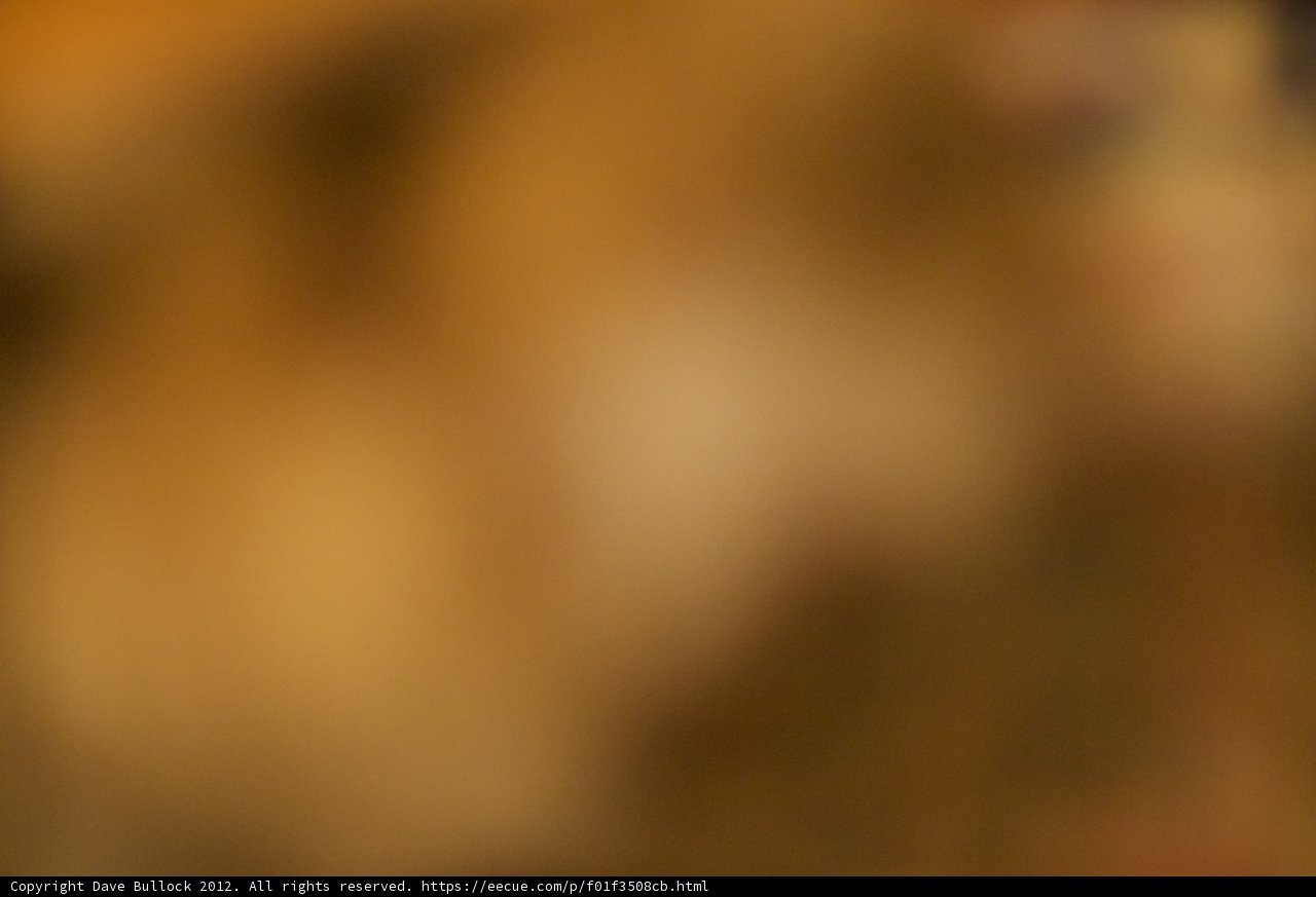 Blurred Figure in the Wild
