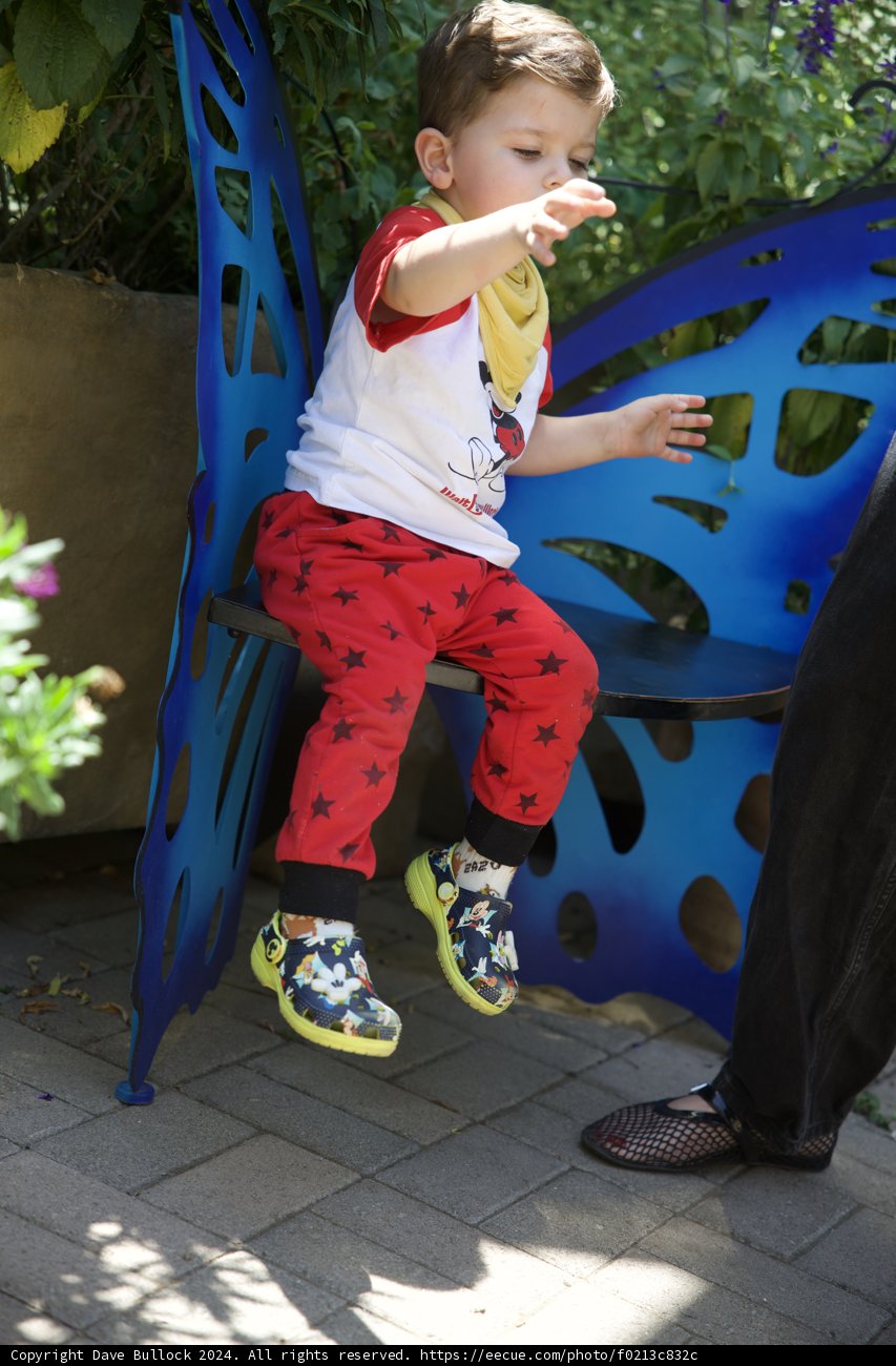 Wesley's Colorful Celebration