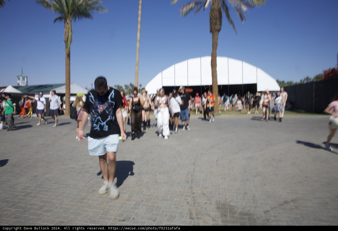 Vibrant Summer Excitement at Coachella 2024
