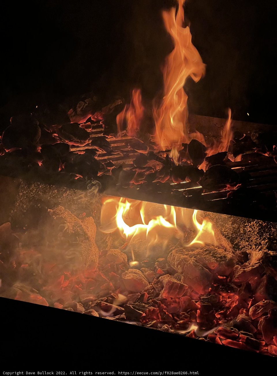 Flames of the Sierra National Forest