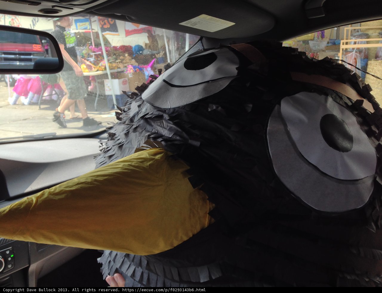 Bird Costume Road Trip