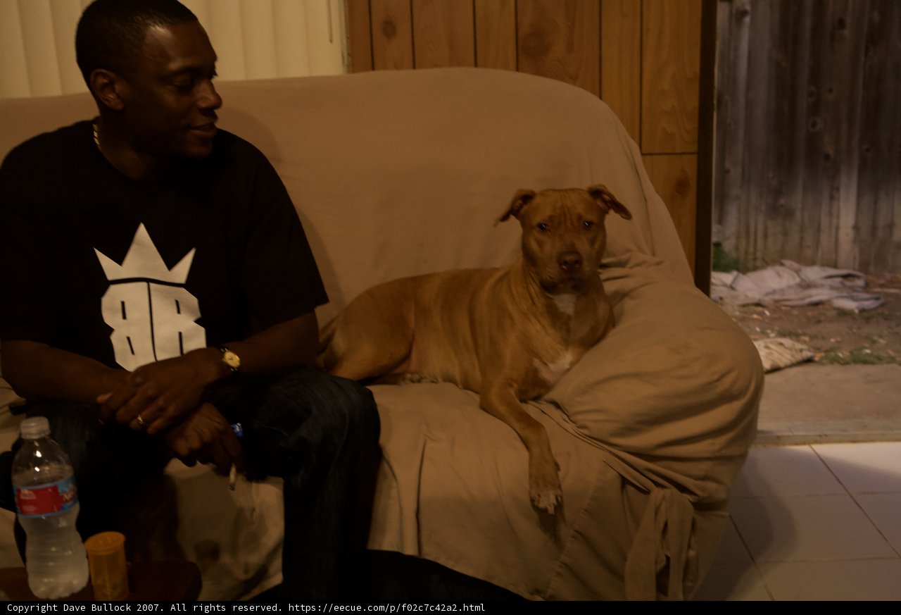 Cozy Vibes with Man's Best Friend