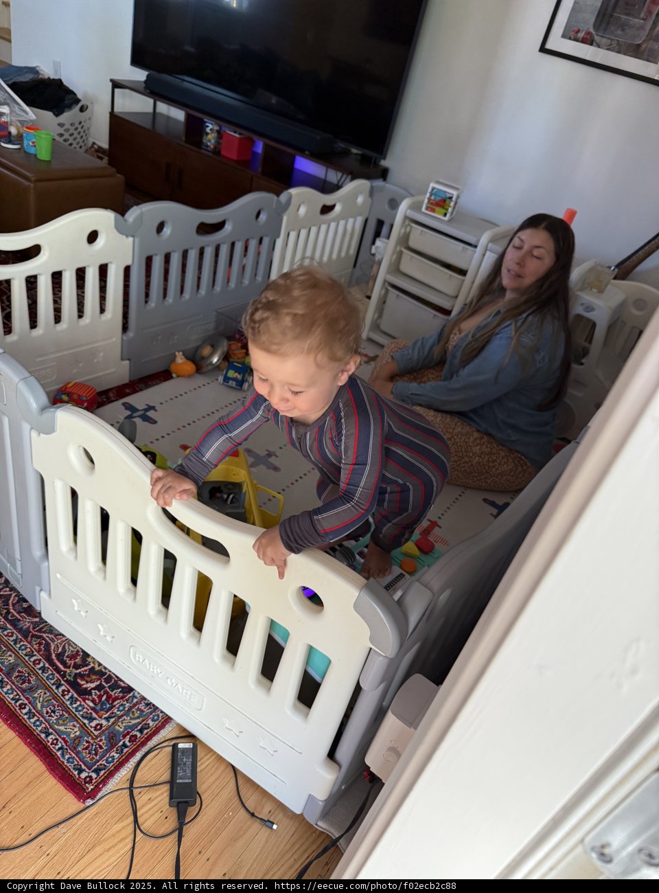 Playful Moments in the Living Room