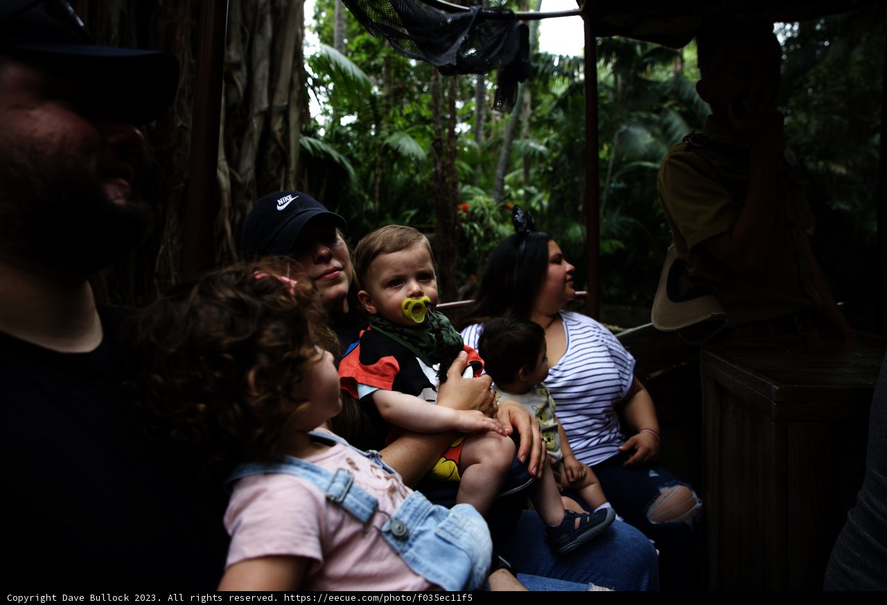 Magical Train Ride at Disneyland