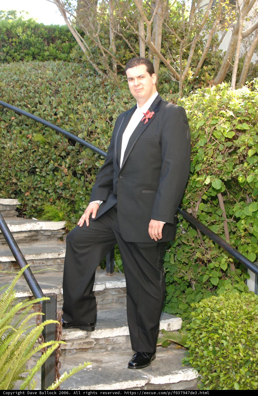 Dave B's Formal Attire Caption: Dave B stands tall in his impeccable suit and tie while surrounded by lush foliage on a grand staircase.