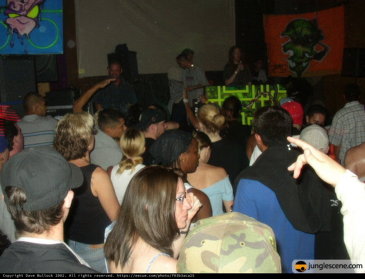 Night Club Crowd with DJ