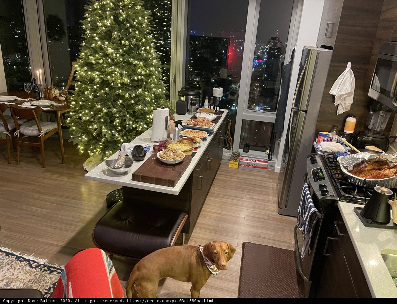 Christmas Pup in the Kitchen