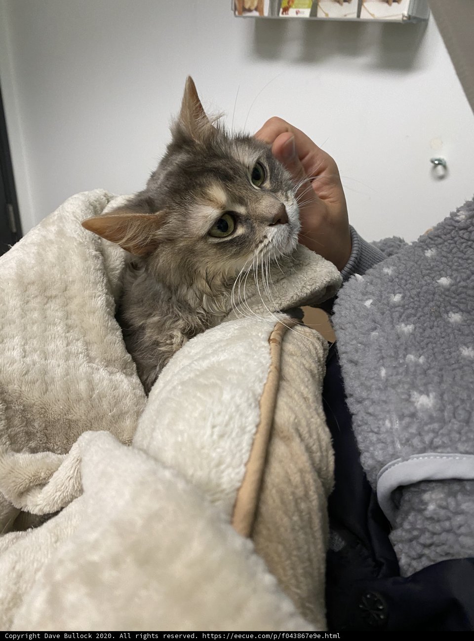 Cozy cuddles with my furry friend