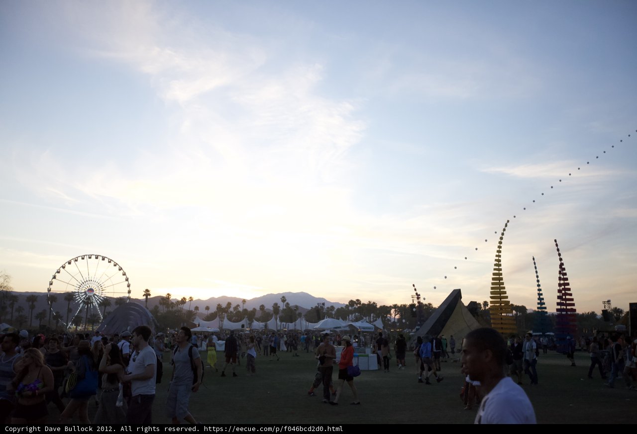 Sunset Field Gathering