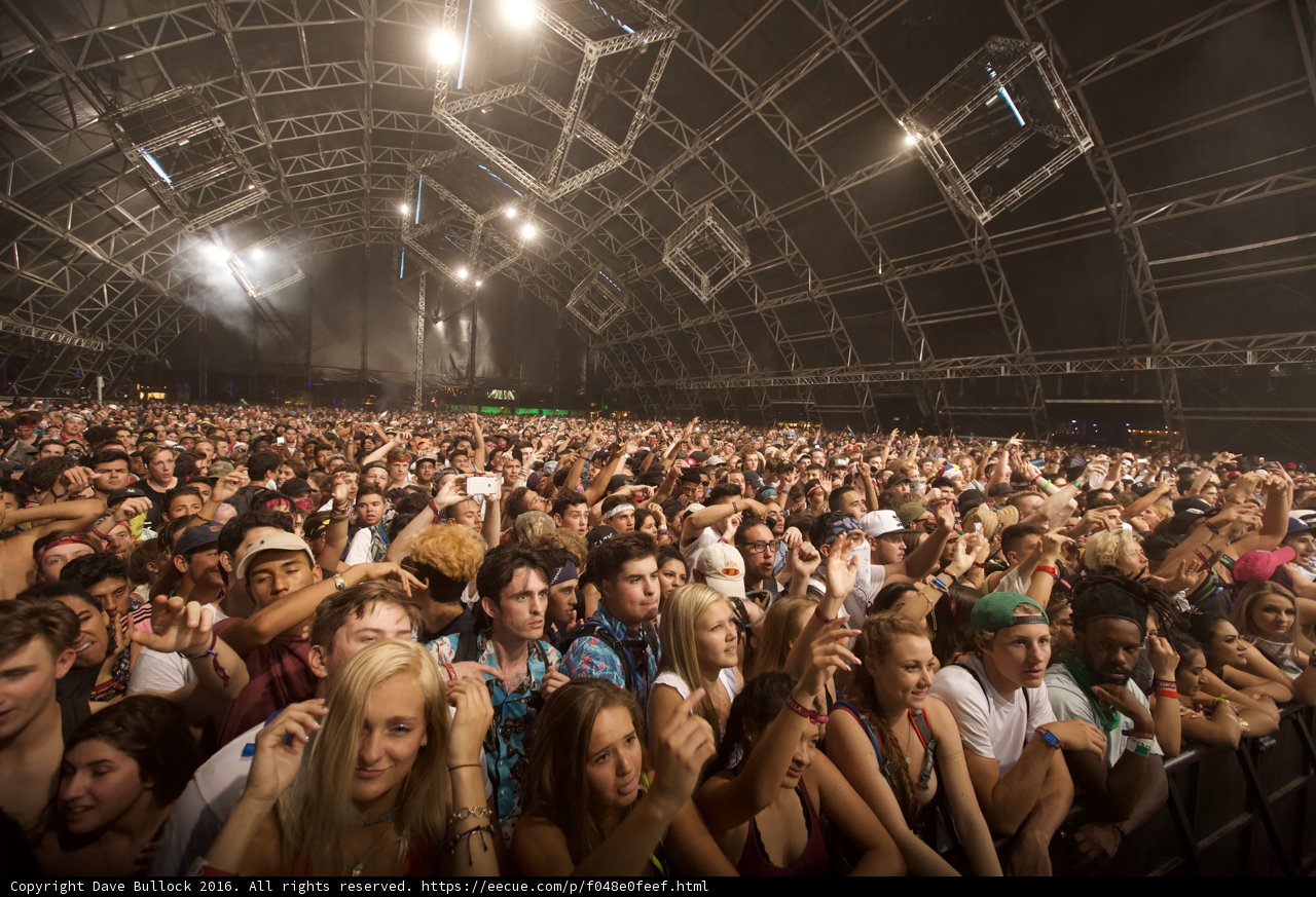 Coachella's Electric Crowd