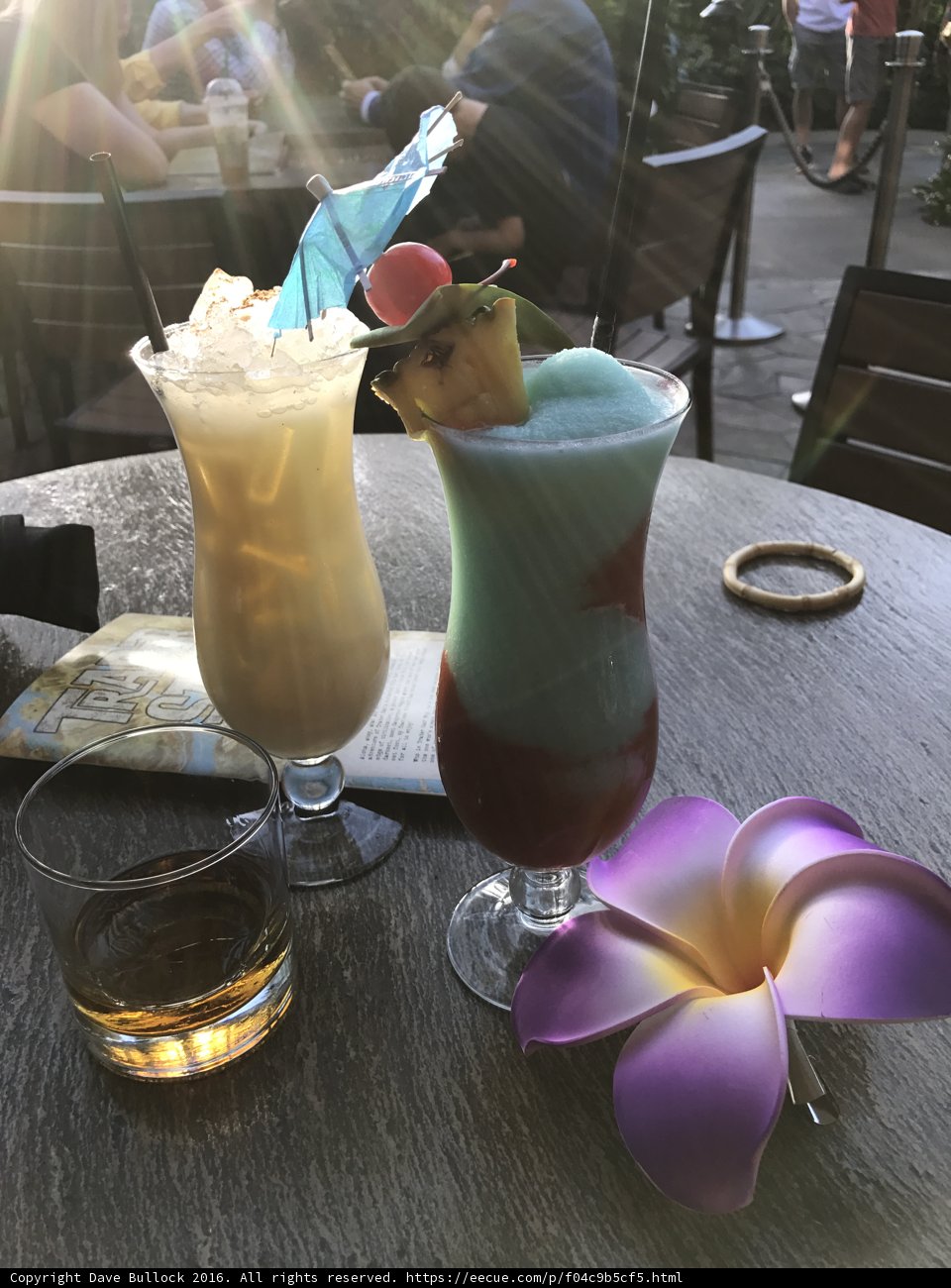 Refreshing Drinks and a Blooming Flower