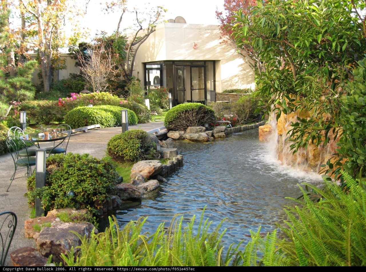 Serene Pond with a Cascading Waterfall in a Natural Garden