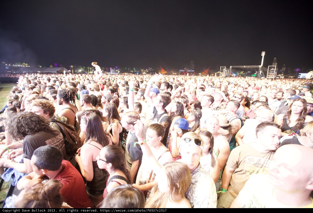 Coachella Nights