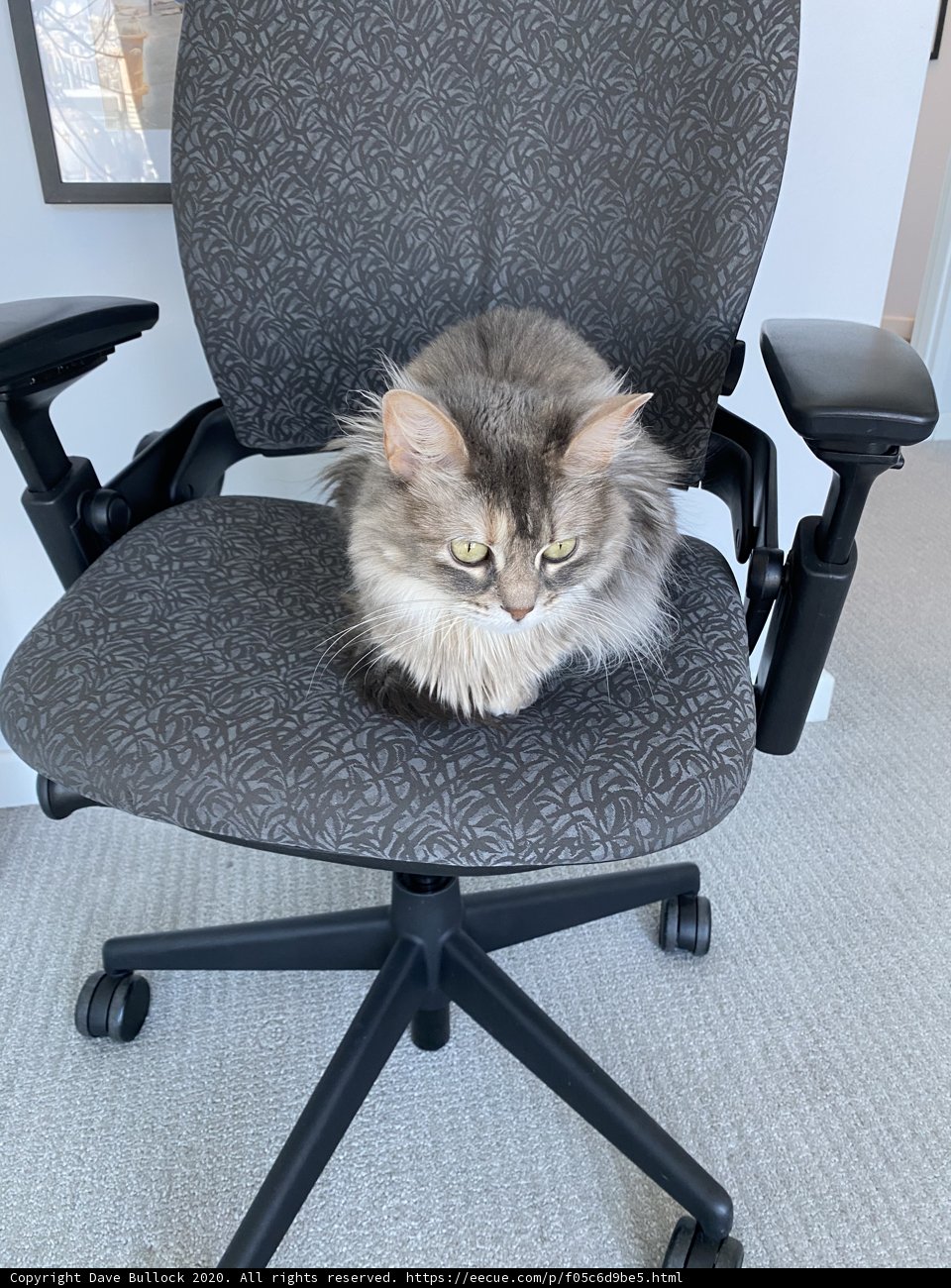 The Chairman