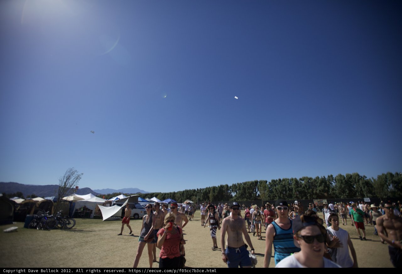 Kite-Flying Extravaganza