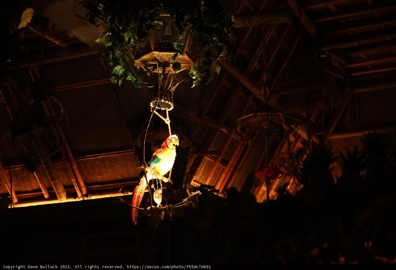 Illuminating Acrobat