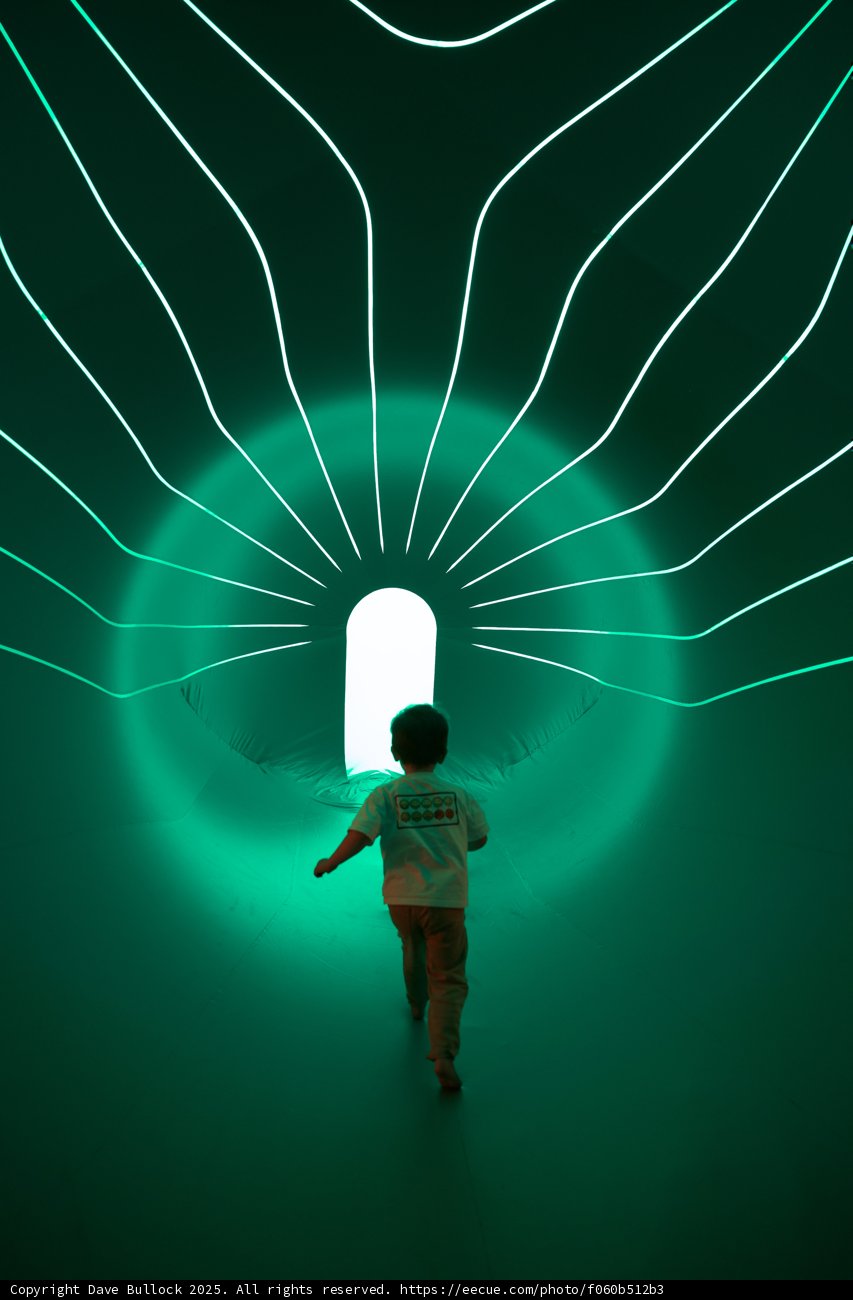 Journey Through the Neon Tunnel