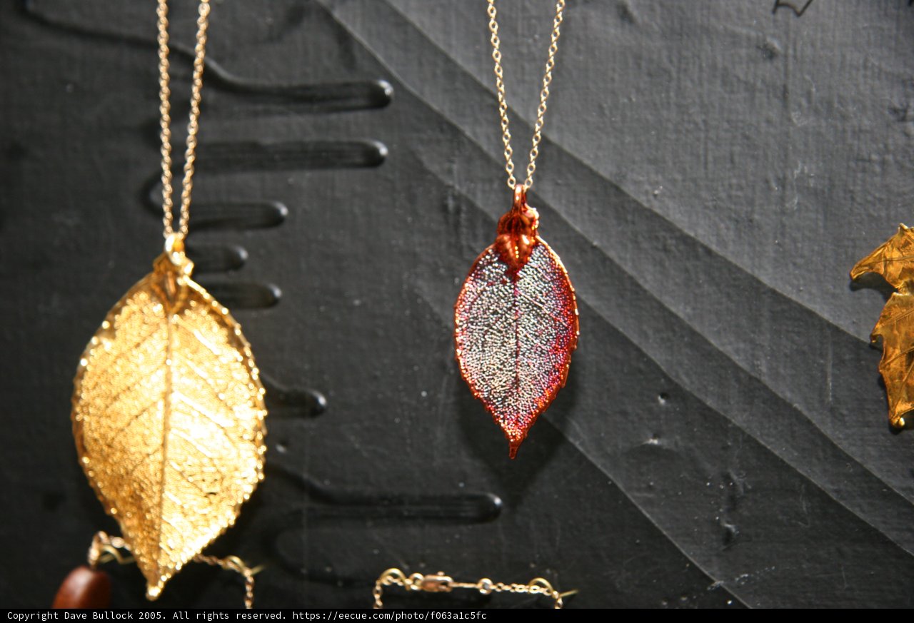 Golden Leaf on Black Wall