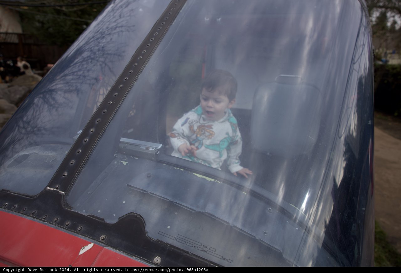 Little Pilot in Training