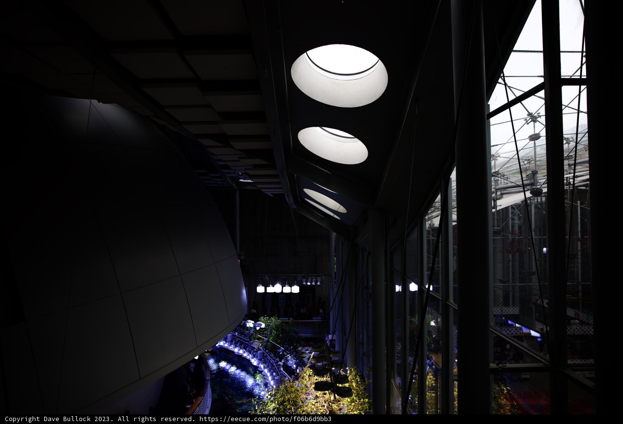 The Architectural Marvel of California Academy of Sciences