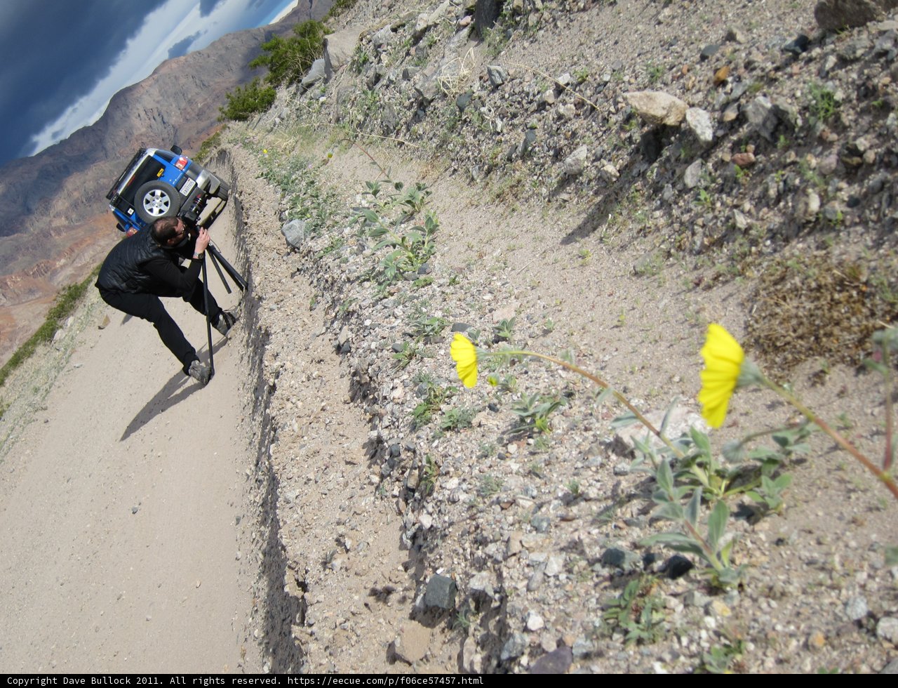 Biking on the Gravel Path