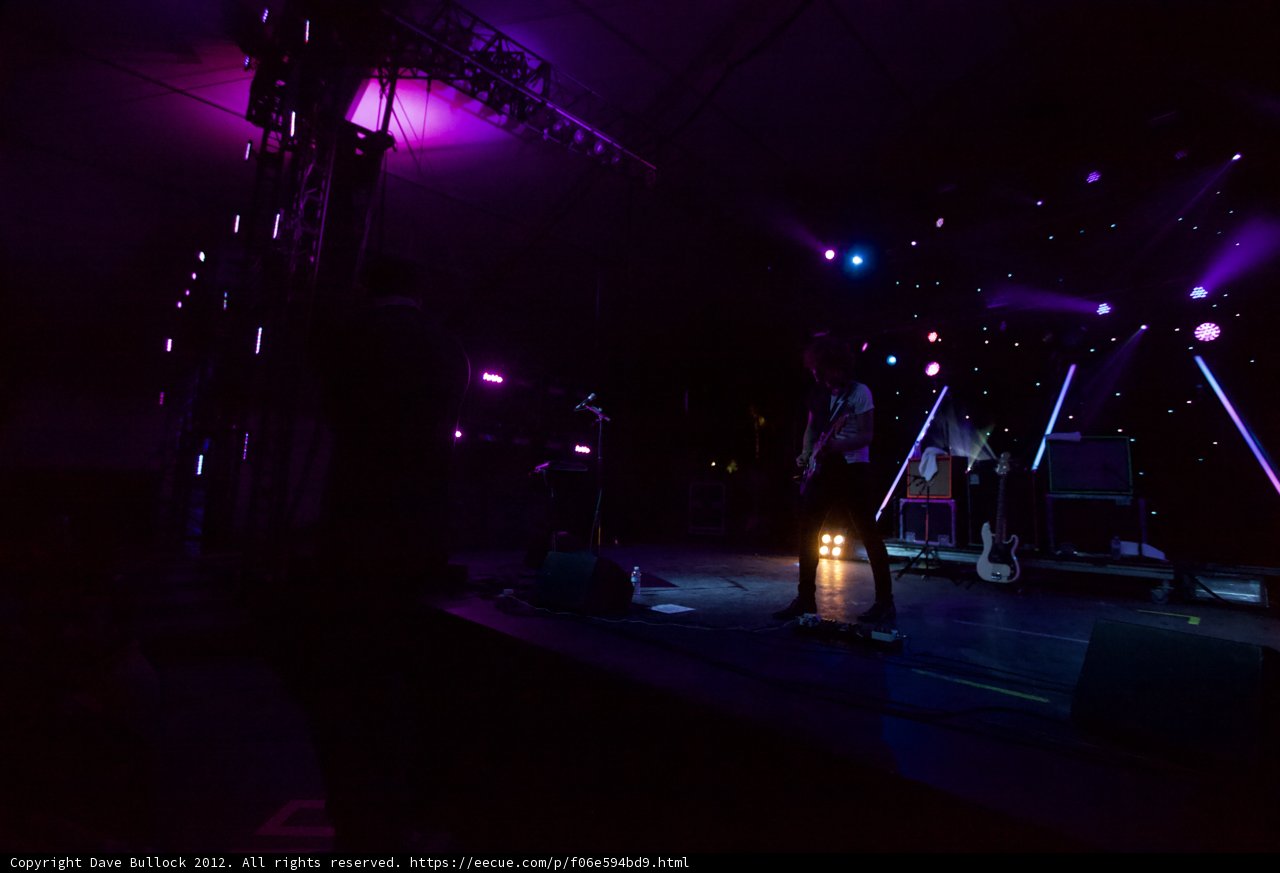 Purple Lights and Rocking Beats