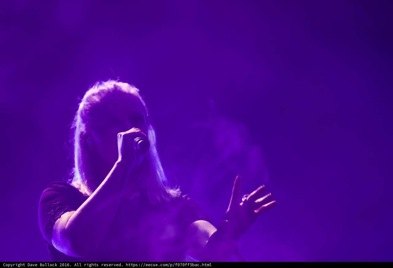 Purple Performance