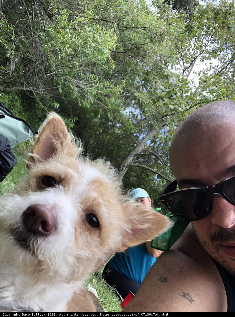 Man and his Canine Companion