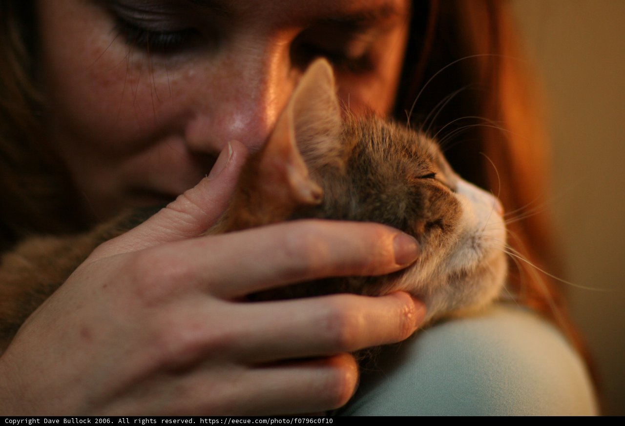 Woman and Abyssinian Cat