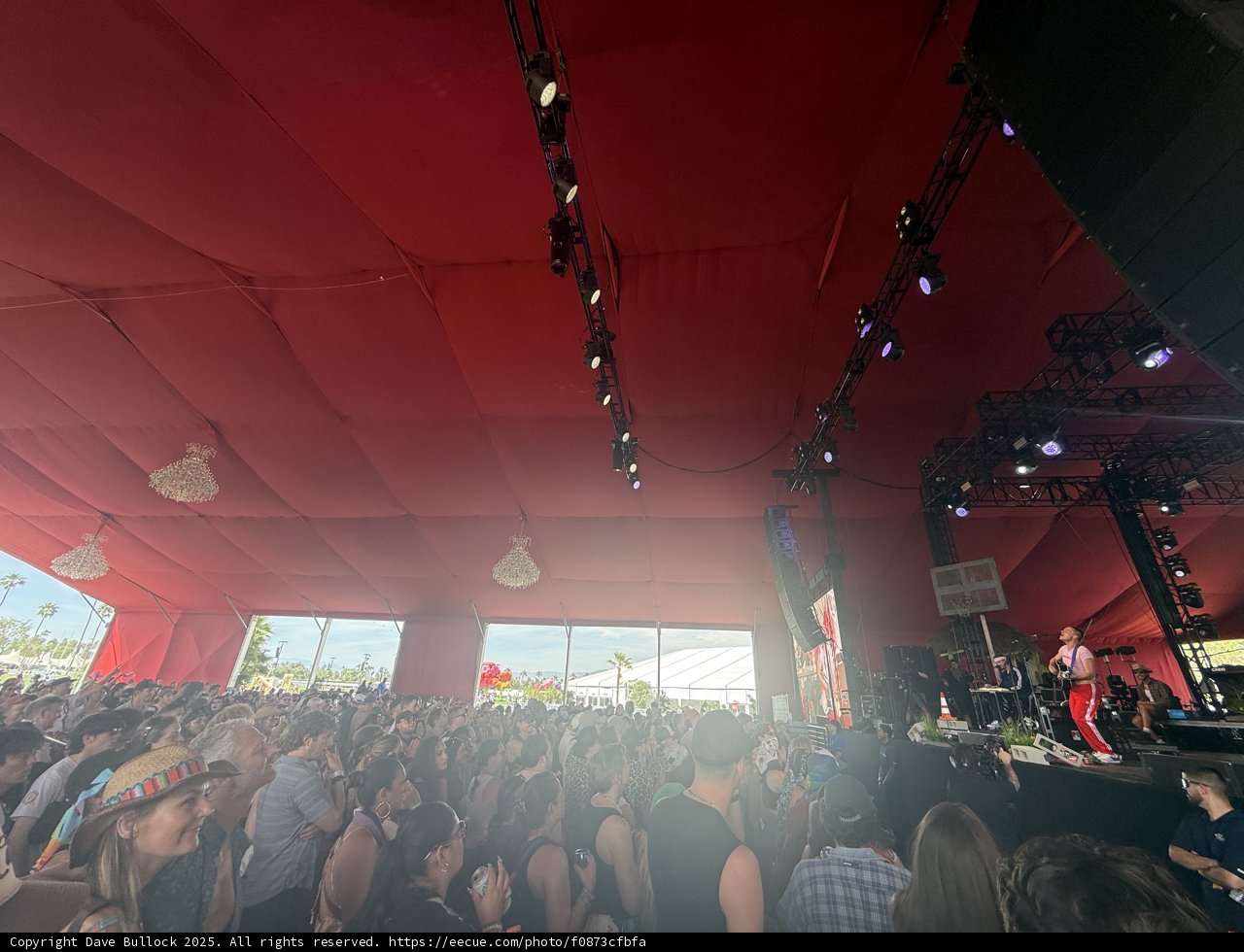 Electrifying Vibes Under the Red Canopy
