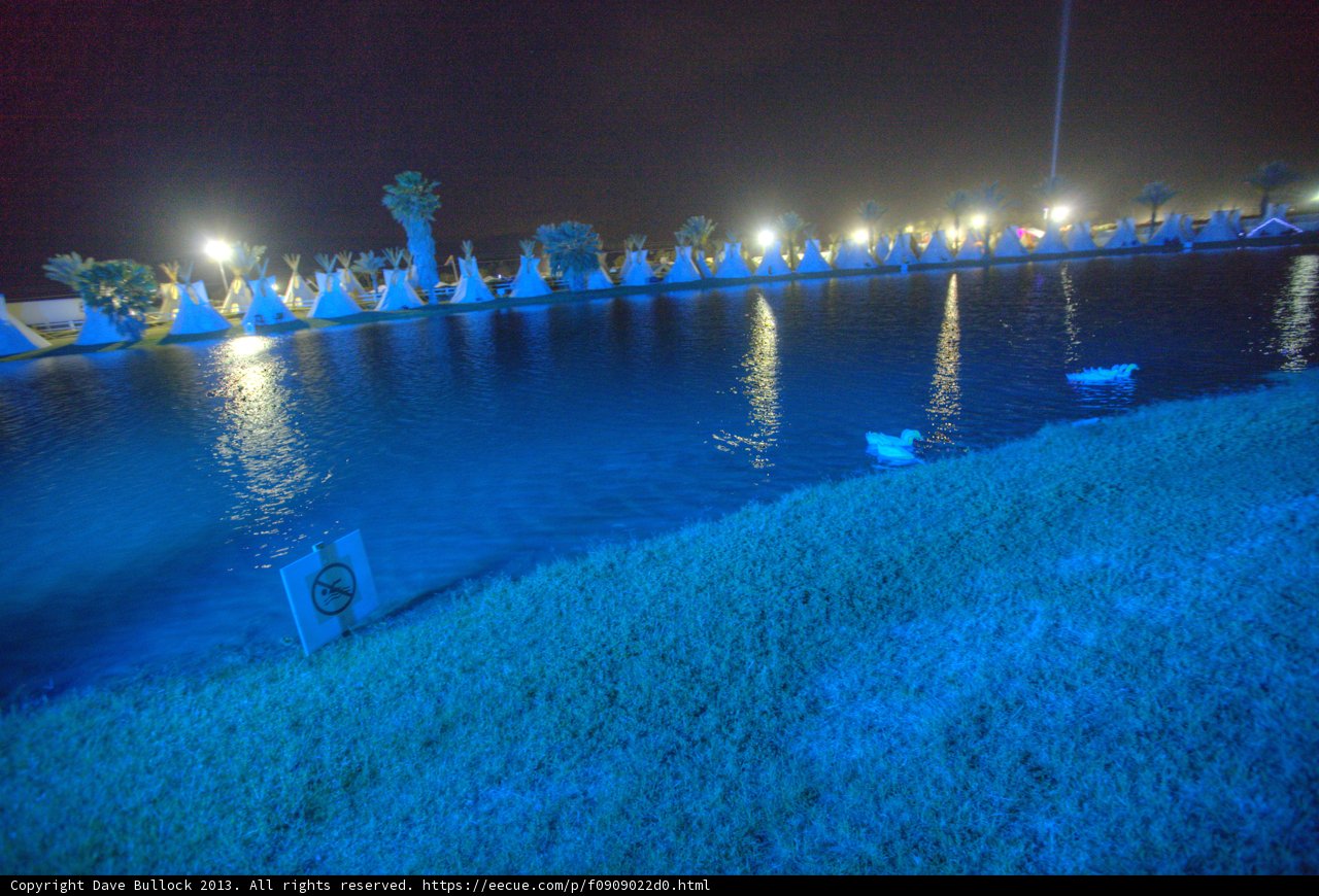 Nighttime Pond with Ducks