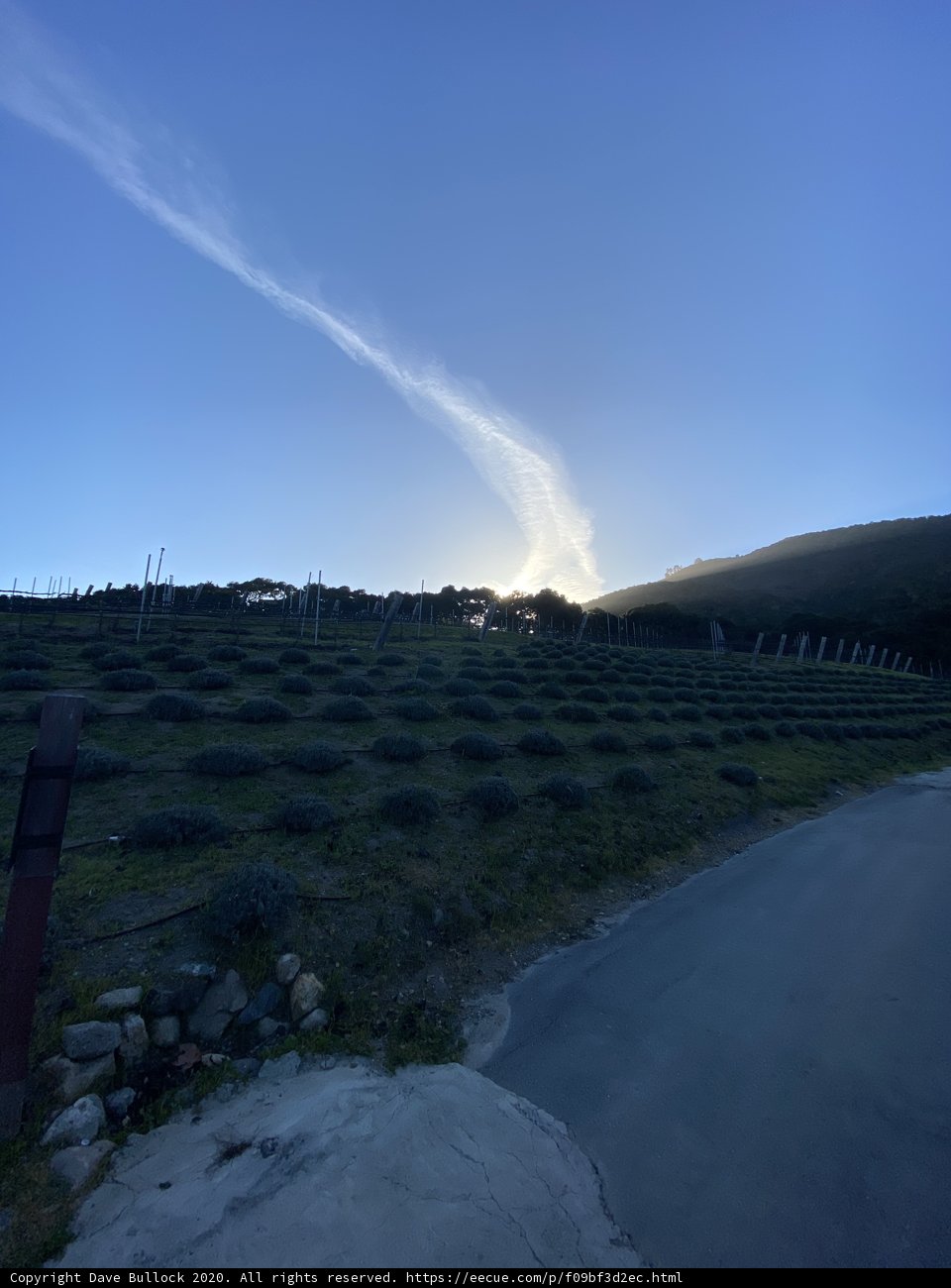 Sunset over Carmel Vineyards