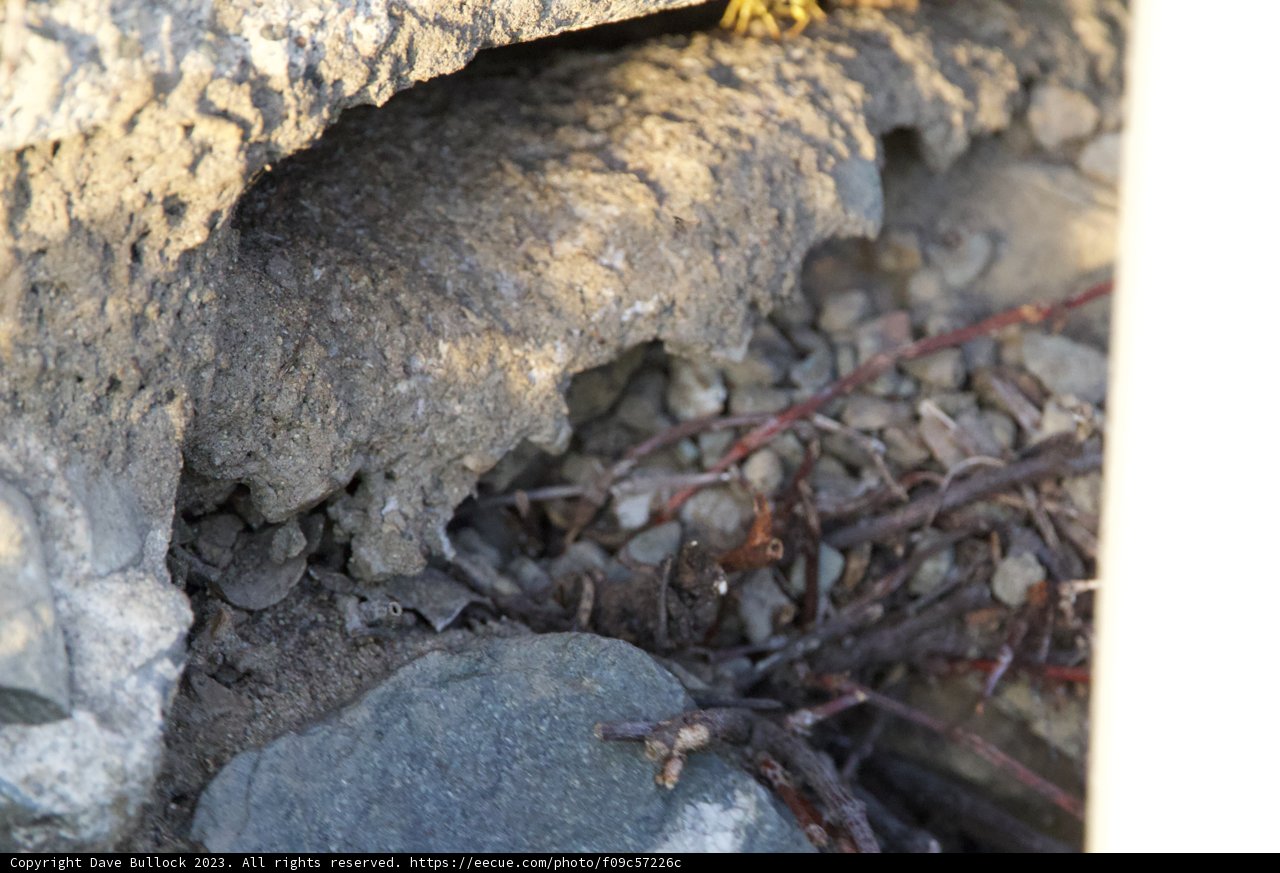 Depths of Earth at Fort Mason
