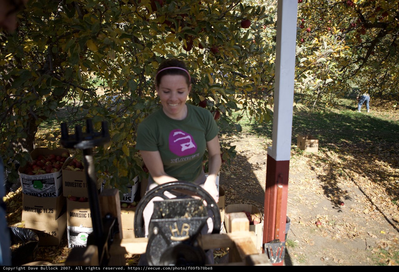 Smiling Woman Sorting Apples at Autumn Orchard