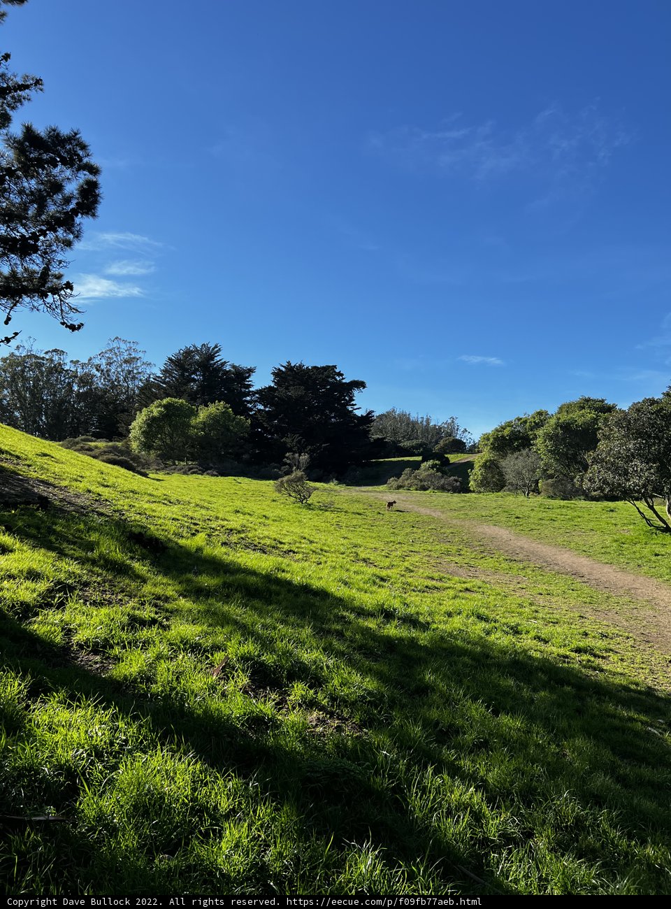 Tranquil Trail in the California Countryside
