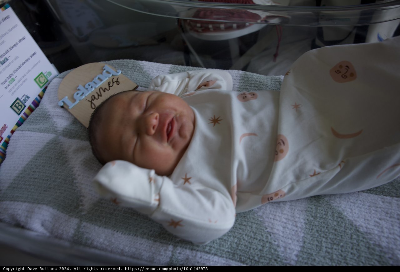Welcome to the World, Leland