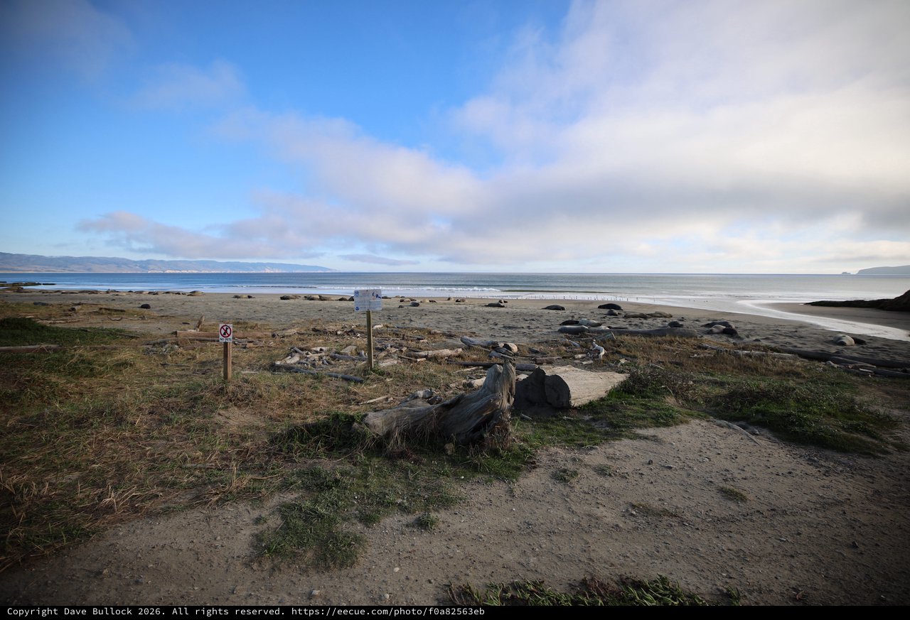 Coastal Path Leading to Elephant Seal Beach