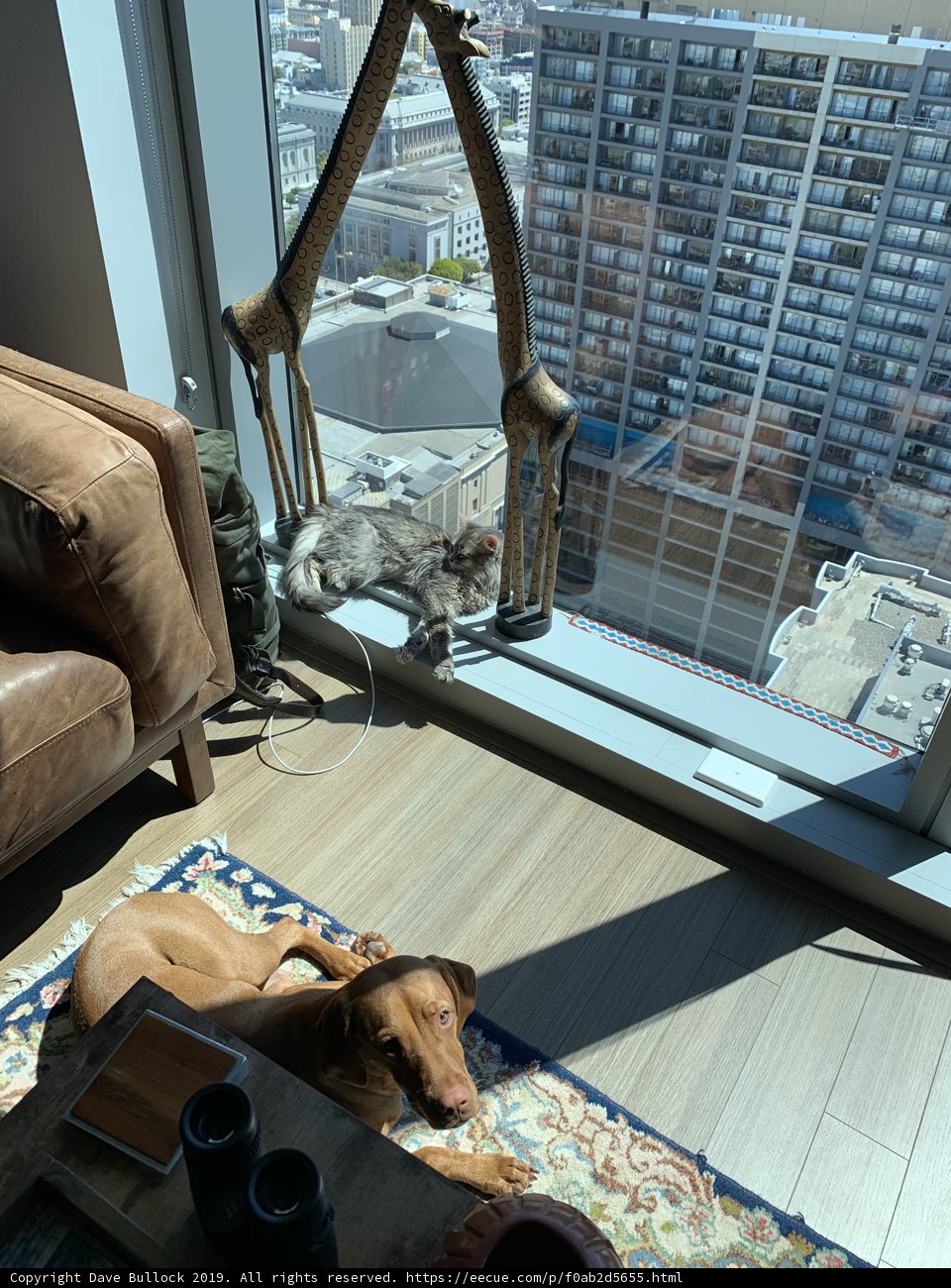 Relaxing in the Sun