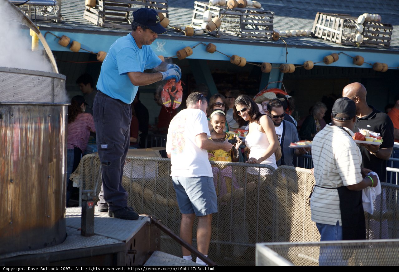 Grilling Up a Storm at the Lobster Festival