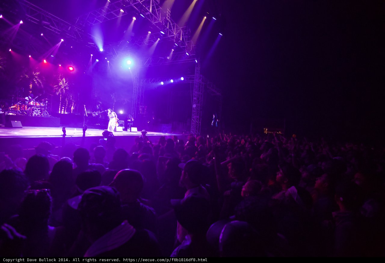 Purple Haze Concert