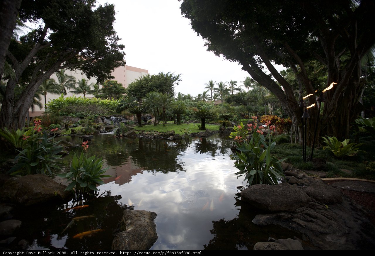 Serenity at the Pond