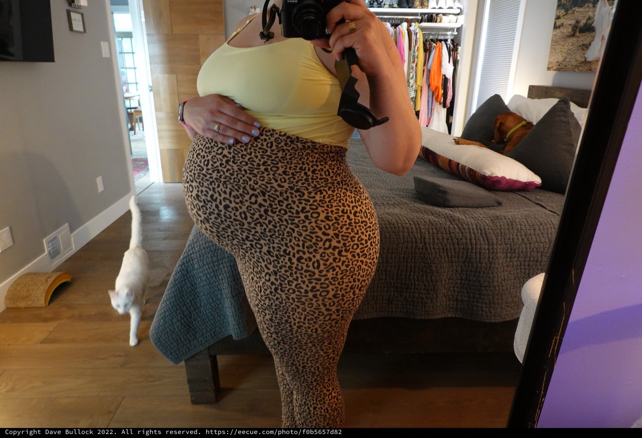 Mirror Selfie in Leopard Print Leggings