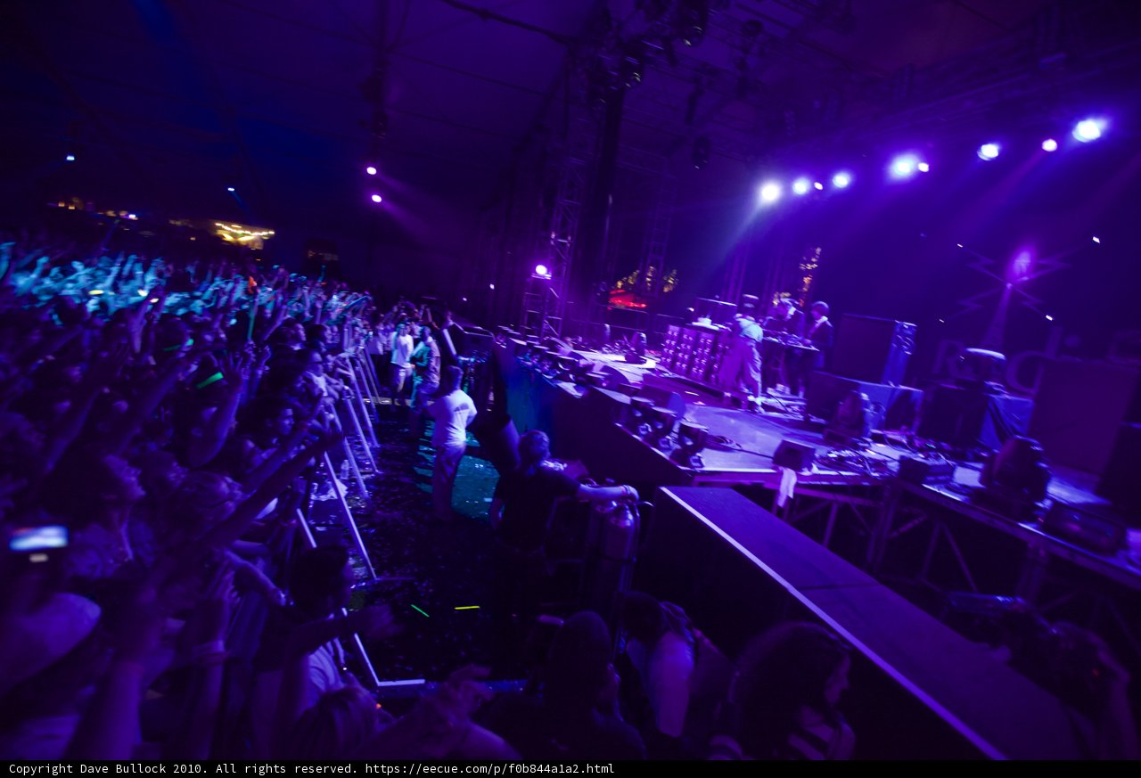 Purple Hues Rock the Night Away