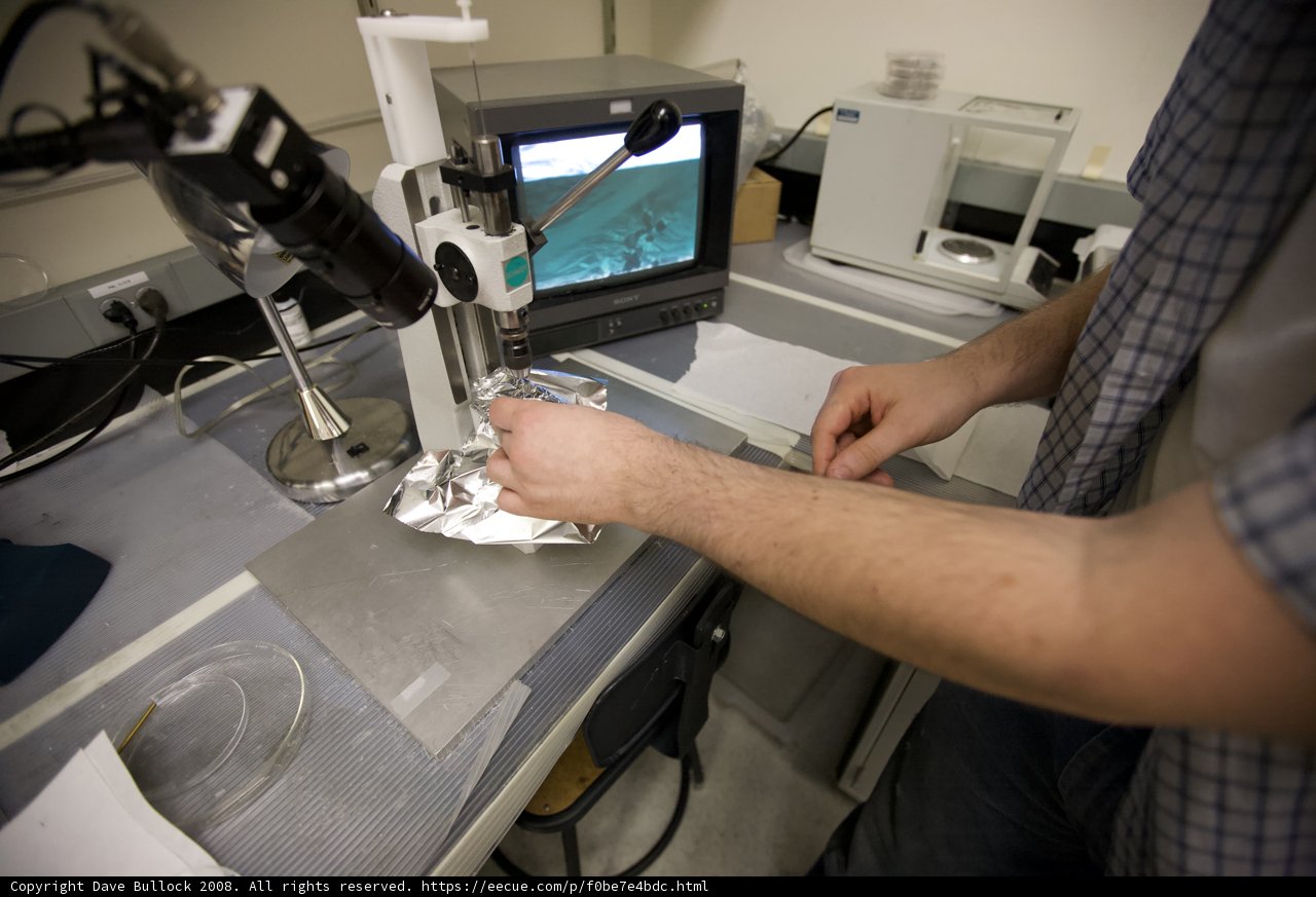 Computing in the Lab