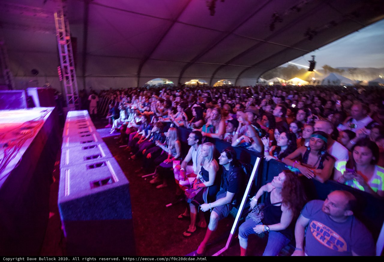 Nightlife Concert Crowd