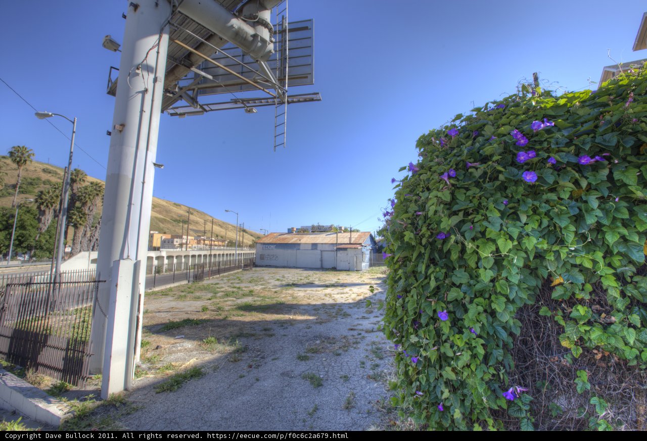 The Purple Flower Street Sign