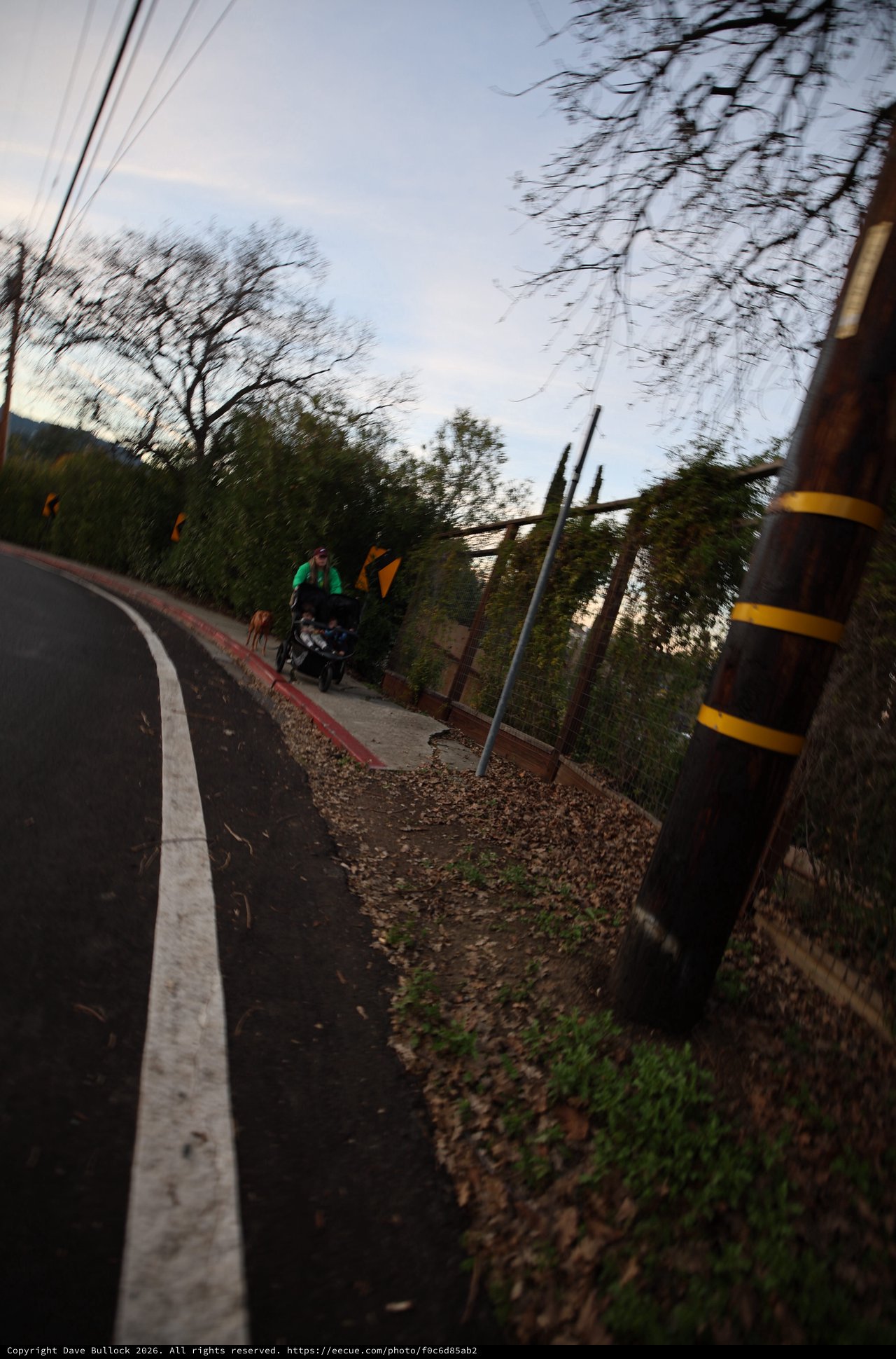 Motion-Blurred Dusk Walk Along Suburban Road